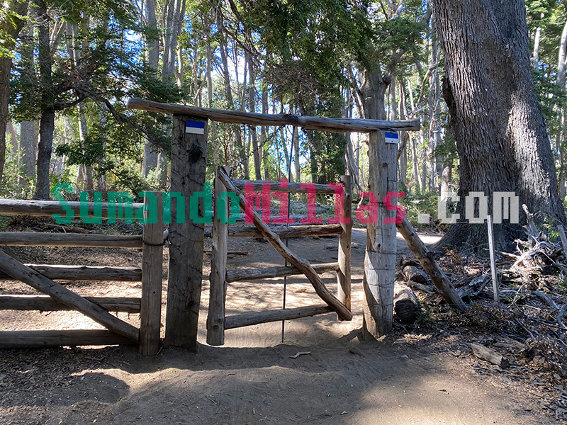 bosque arrayanes bicicleta